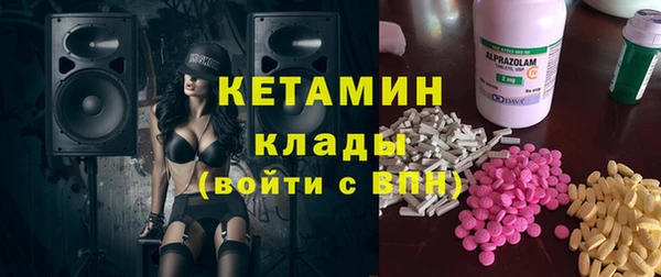 ГАЛЛЮЦИНОГЕННЫЕ ГРИБЫ Гусь-Хрустальный