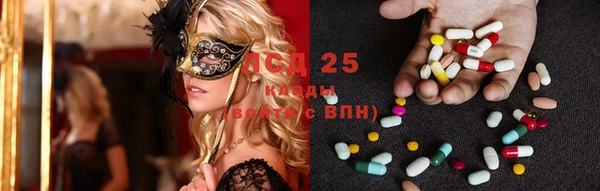 ГАЛЛЮЦИНОГЕННЫЕ ГРИБЫ Гусь-Хрустальный