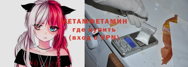 ГАЛЛЮЦИНОГЕННЫЕ ГРИБЫ Гусь-Хрустальный