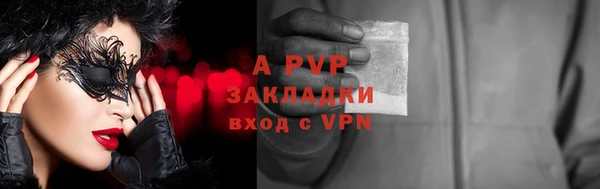 гашик Гусев