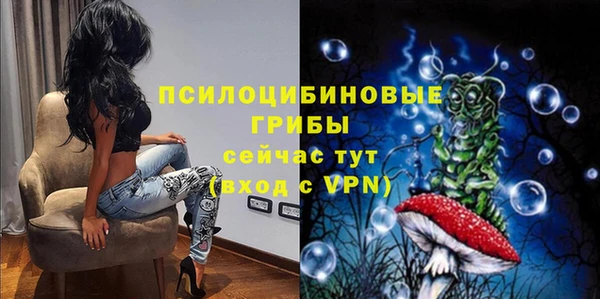 не бодяженный Дмитров