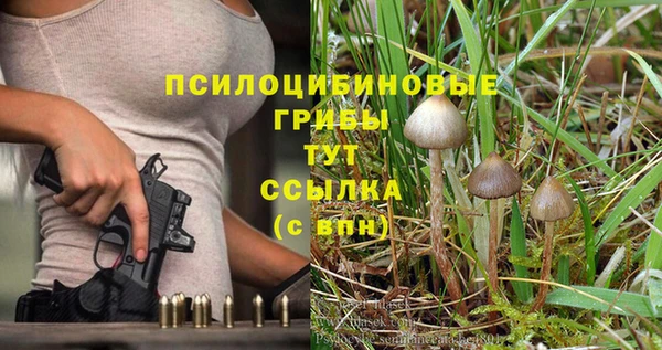 метамфетамин Гусиноозёрск