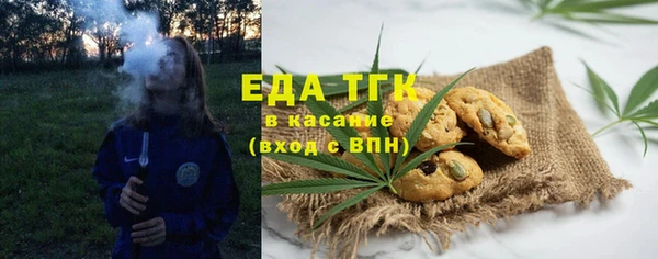 гашик Гусев