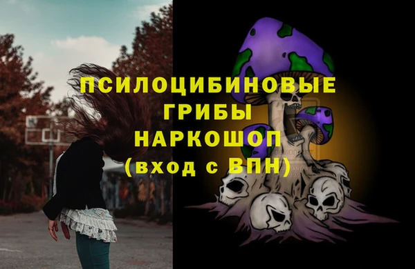 ГАЛЛЮЦИНОГЕННЫЕ ГРИБЫ Гусь-Хрустальный