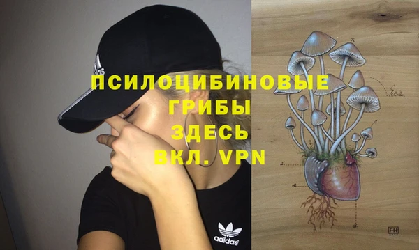 метамфетамин Гусиноозёрск