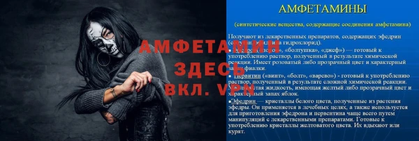 ГАЛЛЮЦИНОГЕННЫЕ ГРИБЫ Гусь-Хрустальный