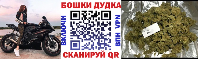 Купить  Котельники  Шишки марихуана OG Kush 